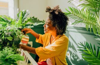 8 trendiga krukväxter som du knappt behöver vattna