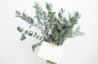 6 blommor som är fantastiskt vackra att torka