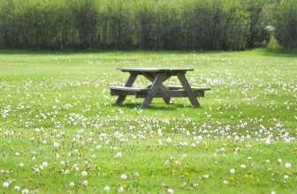 Hur du rengör dina trädgårdsmöbler i trä