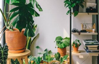 Fördelarna med inomhusväxter: Förbättrad luftkvalitet och välbefinnande