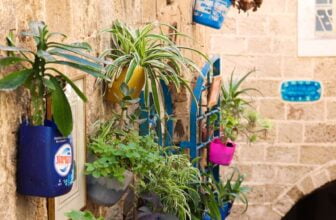 green and yellow plant on blue plastic pot