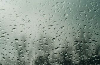 a rain covered window with trees in the background