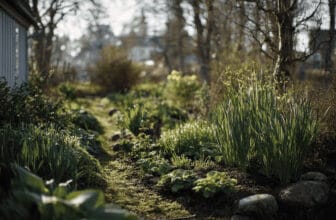 Bosse Rappnes bästa knep för en frodig trädgård i vår