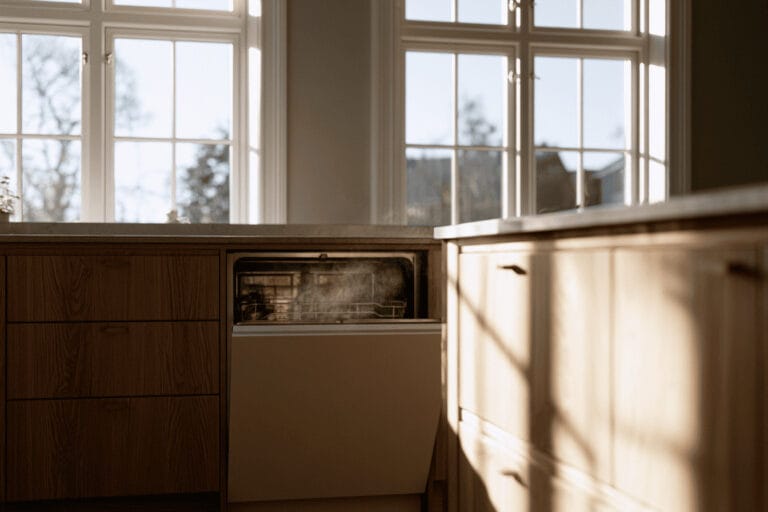 Därför börjar diskmaskinen lukta illa på sommaren