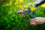 Veckans Gröna Tips: Midsommarblommornas magi