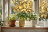 5 gröna favoriter att odla inomhus i höst