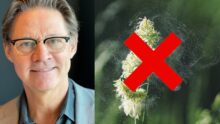 Soldoktorns bästa tips mot vårens pollenchock