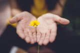 Veckans Hälsotips: Mindfulness för nybörjare, så ändrar du ditt liv!