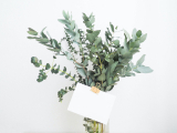 6 blommor som är fantastiskt vackra att torka